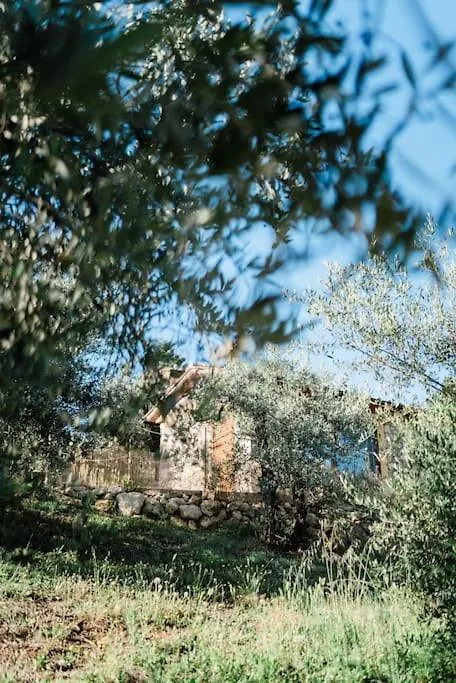 Il Panorama - La Suite Esclusiva Montescudaio